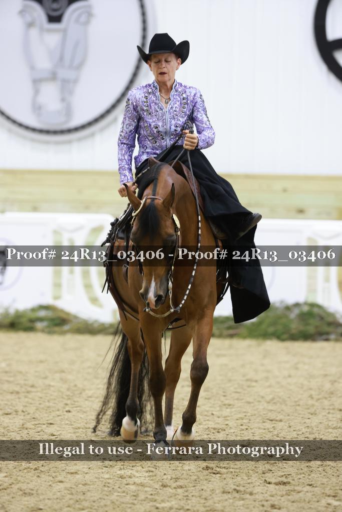 Proof 24R13_03406