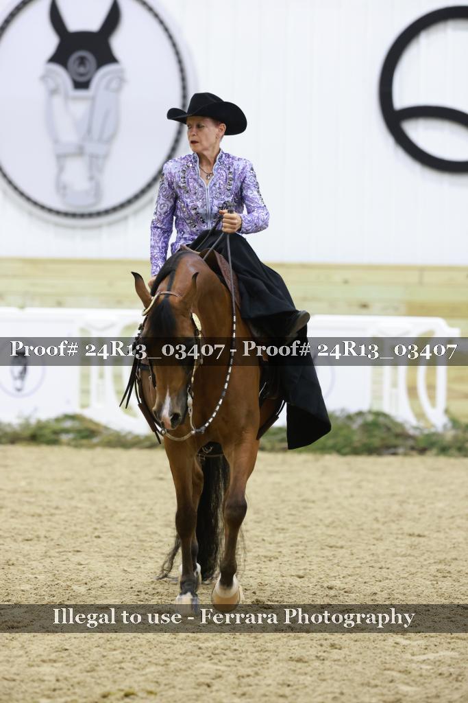 Proof 24R13_03407