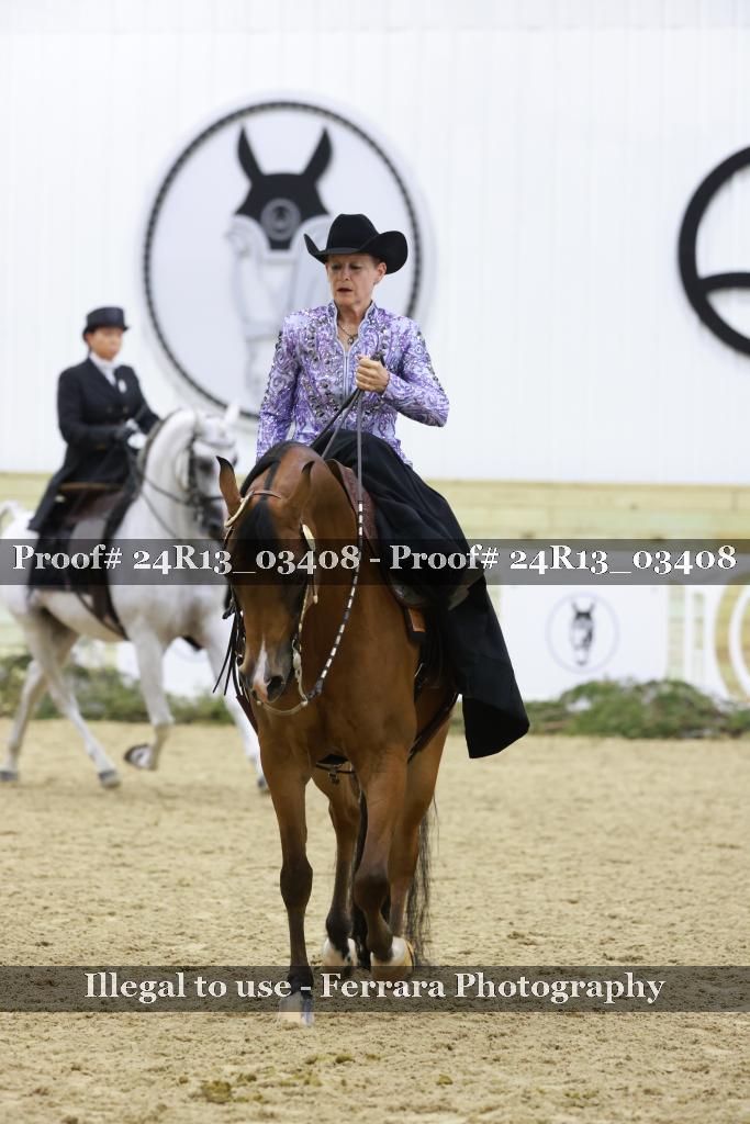Proof 24R13_03408
