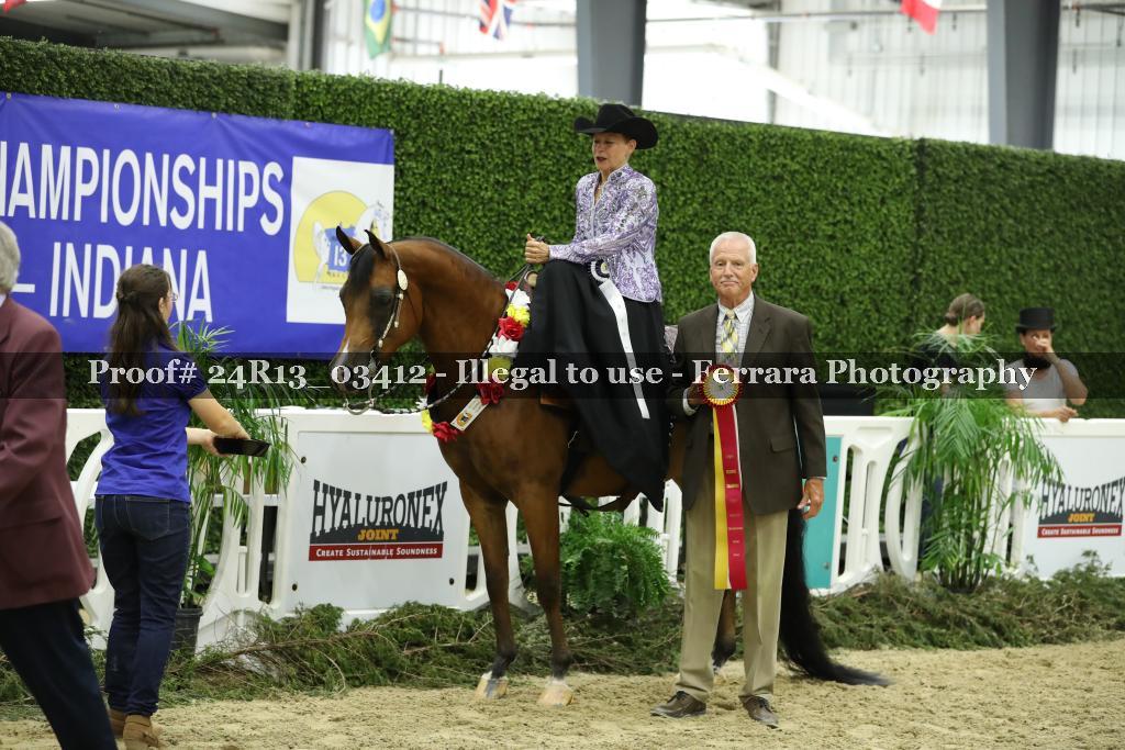 Proof 24R13_03412