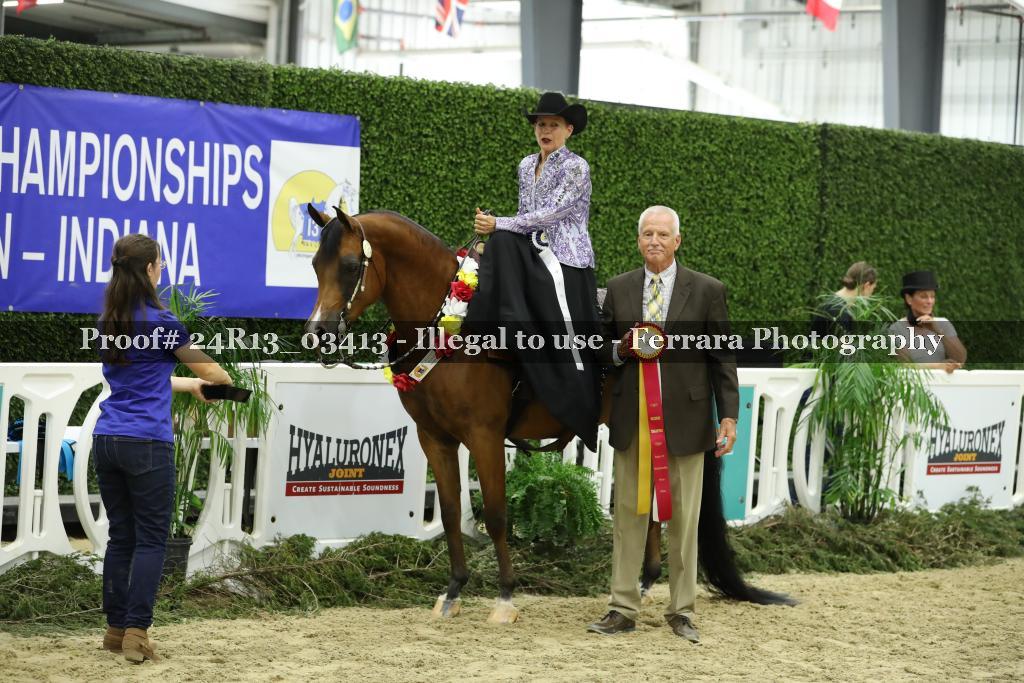 Proof 24R13_03413