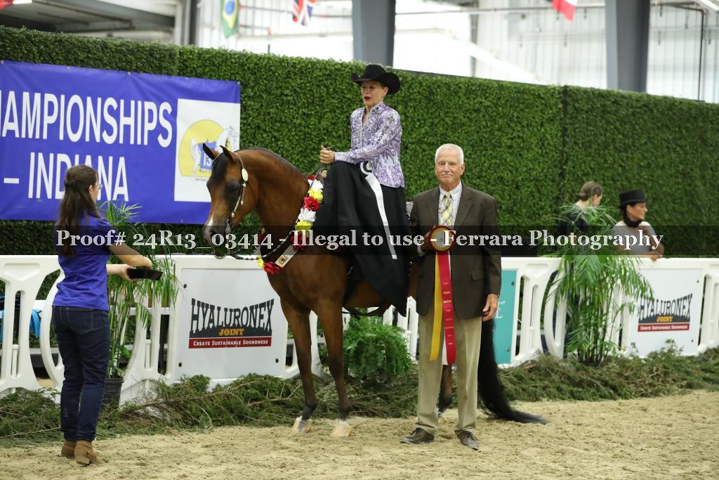 Proof 24R13_03414