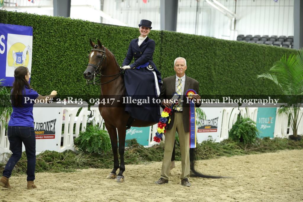 Proof 24R13_03417