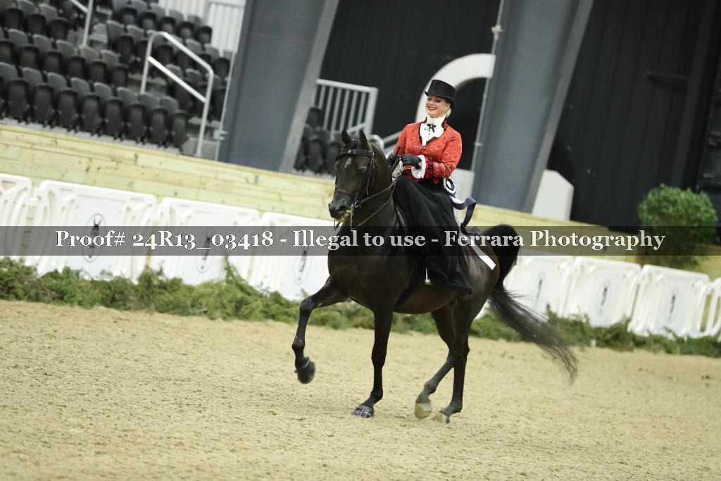 Proof 24R13_03418