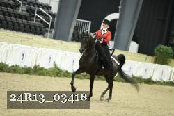24R13_03418 proof