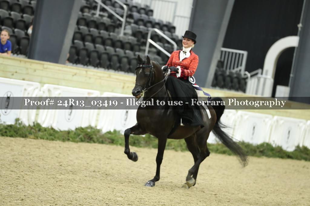 Proof 24R13_03419