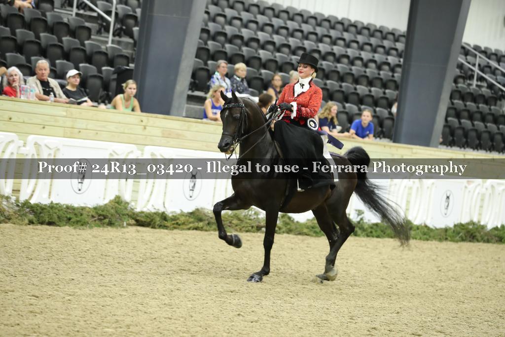 Proof 24R13_03420