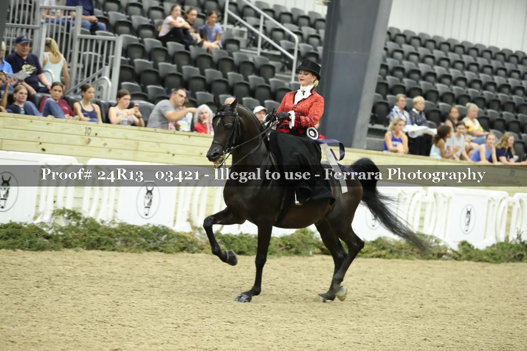 Proof 24R13_03421