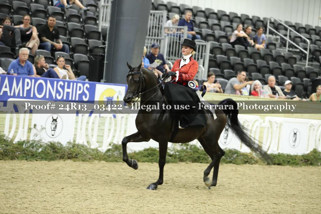 Proof 24R13_03422