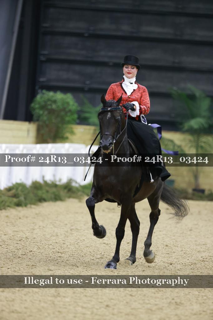 Proof 24R13_03424