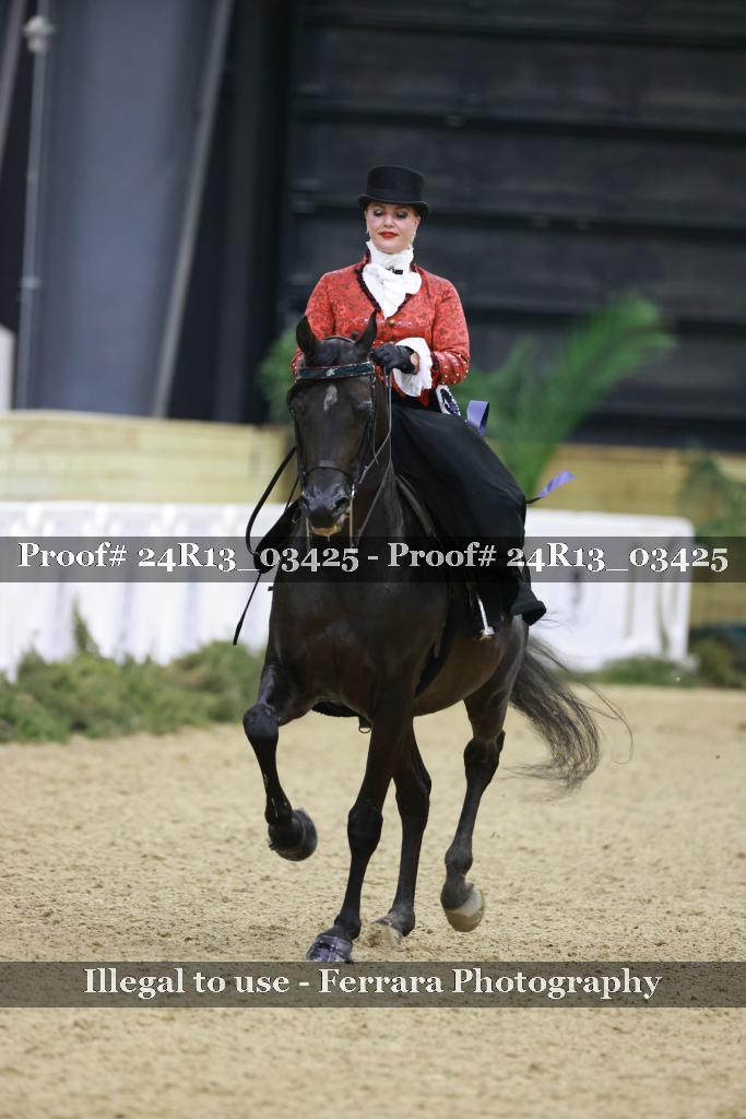 Proof 24R13_03425