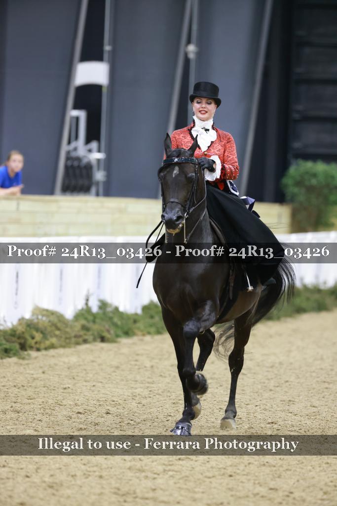 Proof 24R13_03426