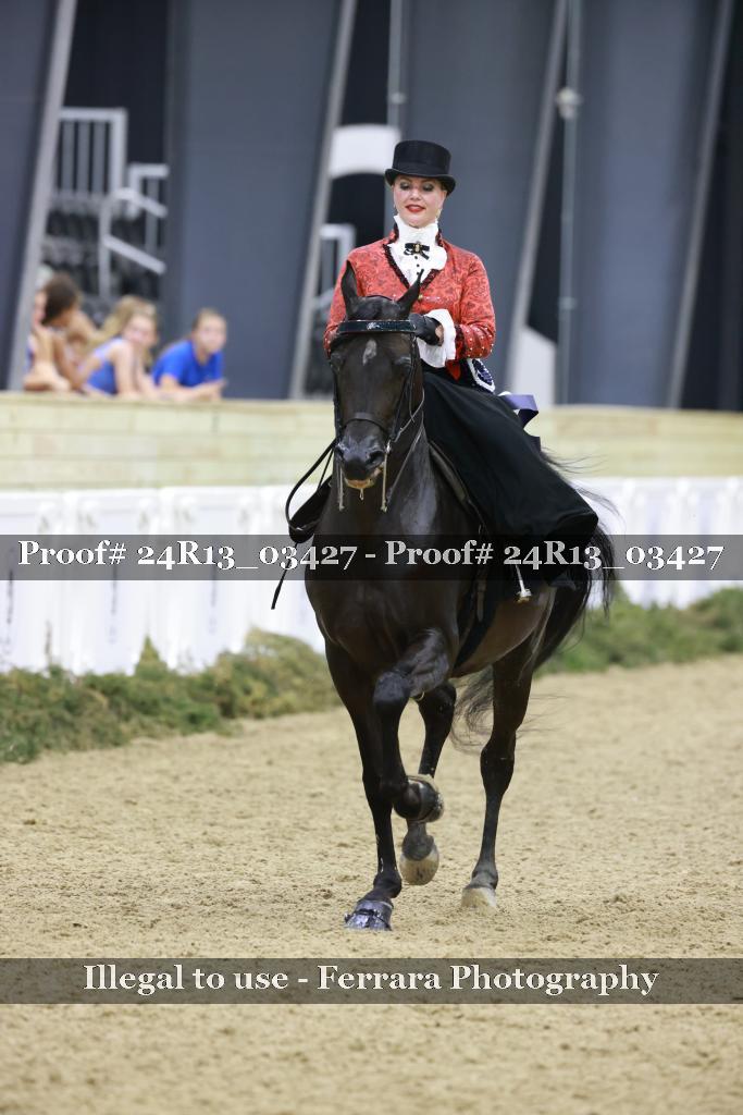 Proof 24R13_03427