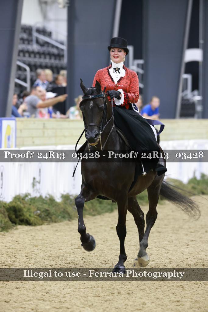 Proof 24R13_03428