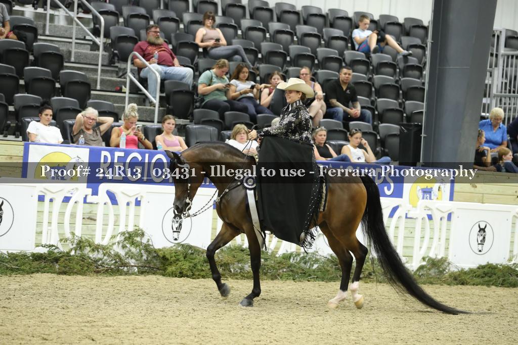 Proof 24R13_03431