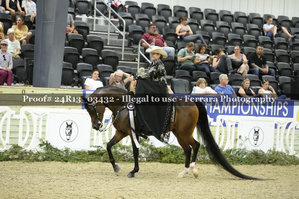 Proof 24R13_03432