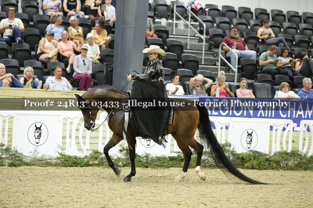 Proof 24R13_03433