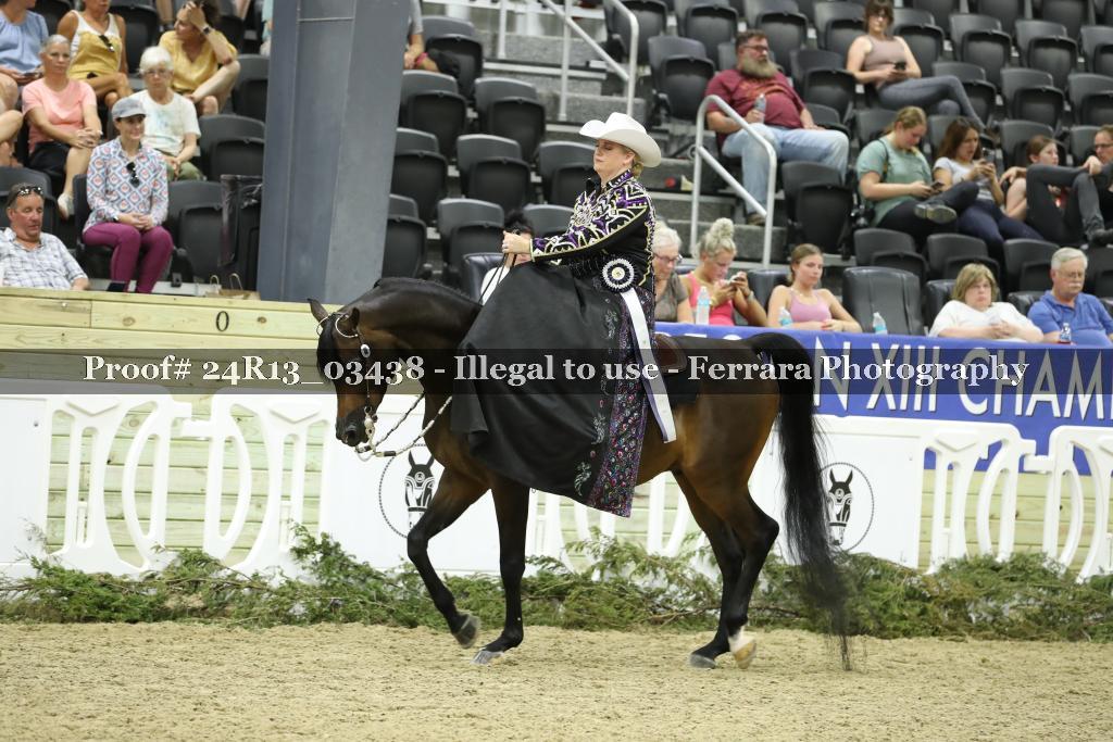 Proof 24R13_03438