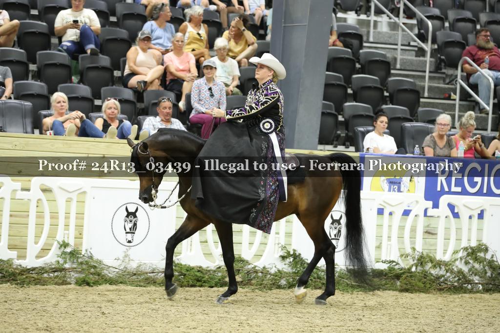 Proof 24R13_03439
