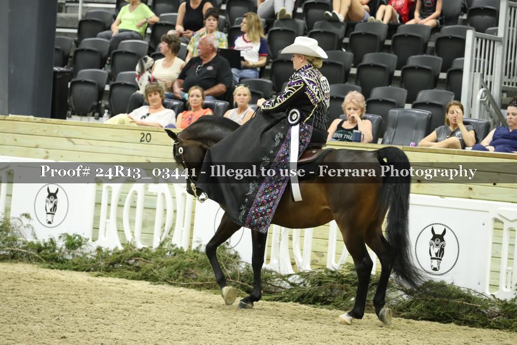 Proof 24R13_03441