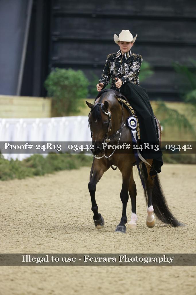 Proof 24R13_03442