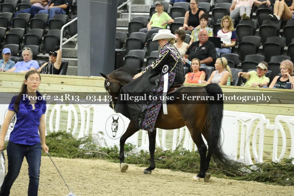 Proof 24R13_03443