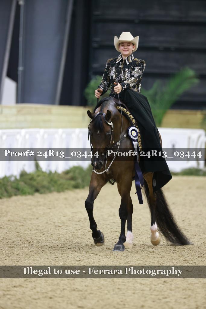Proof 24R13_03444