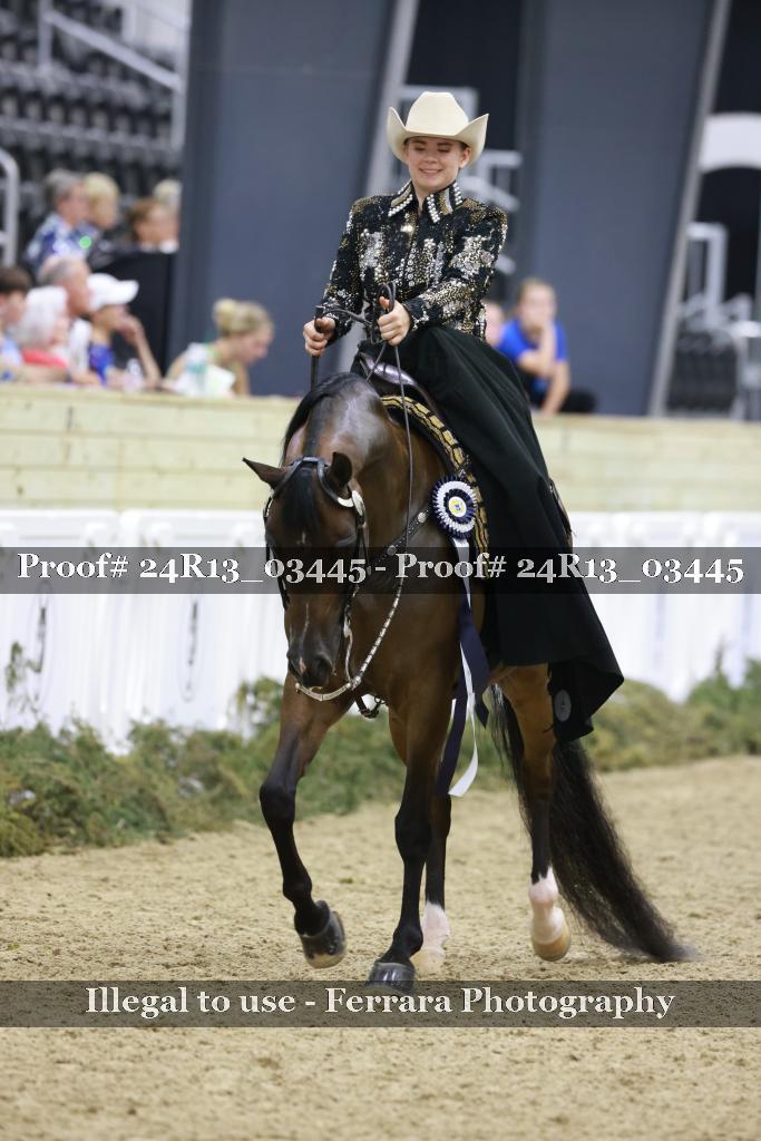 Proof 24R13_03445