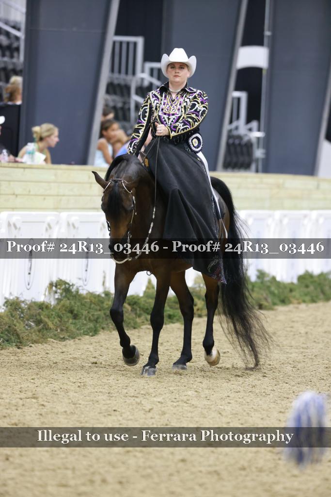 Proof 24R13_03446