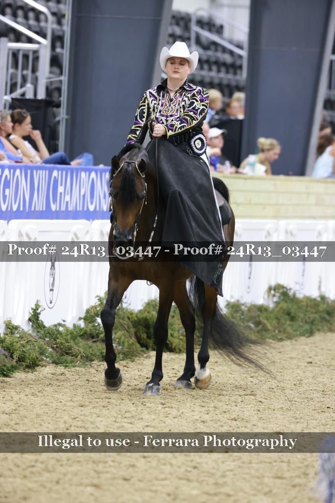 Proof 24R13_03447