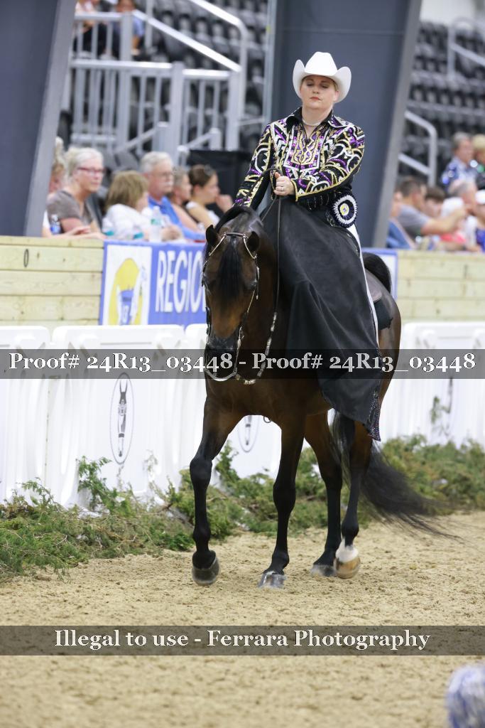 Proof 24R13_03448
