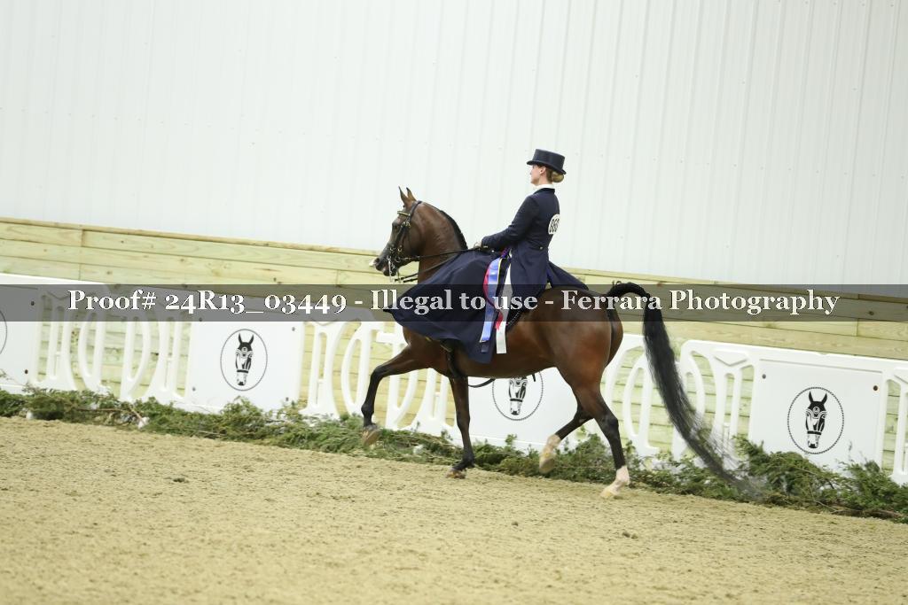 Proof 24R13_03449