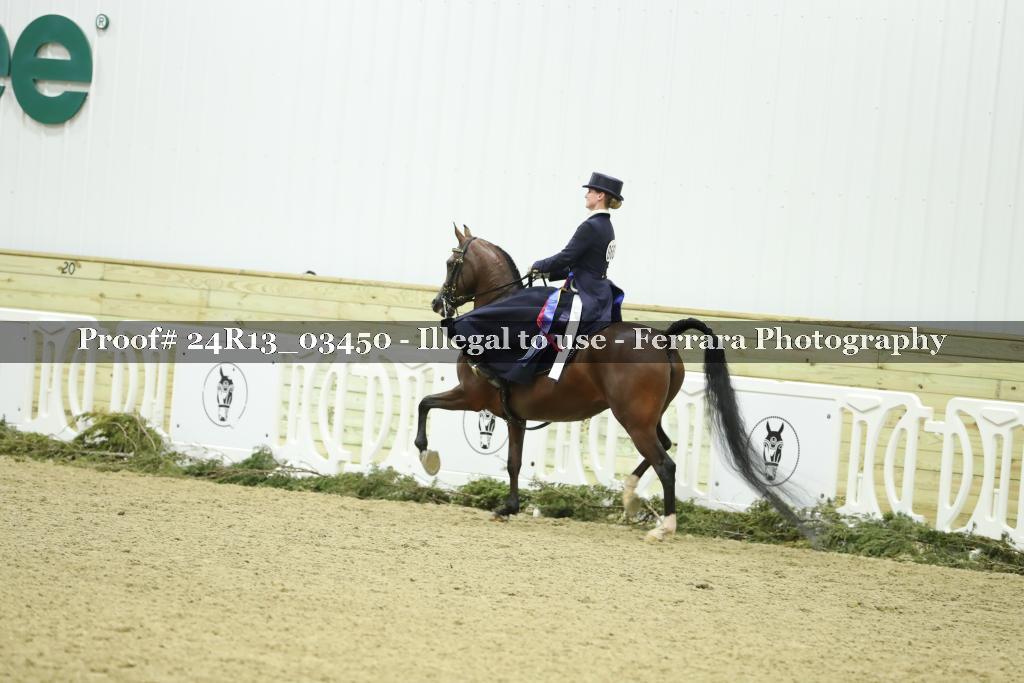 Proof 24R13_03450