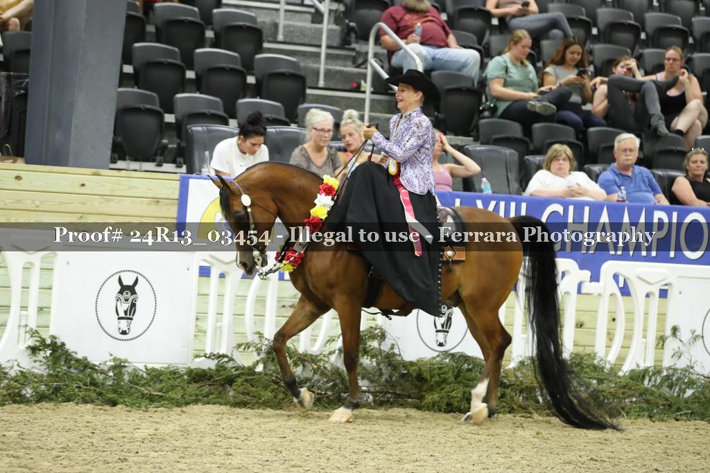 Proof 24R13_03454