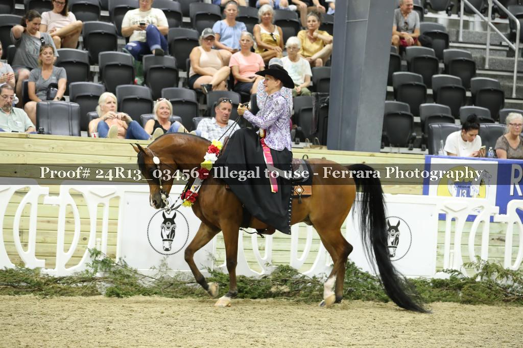 Proof 24R13_03456