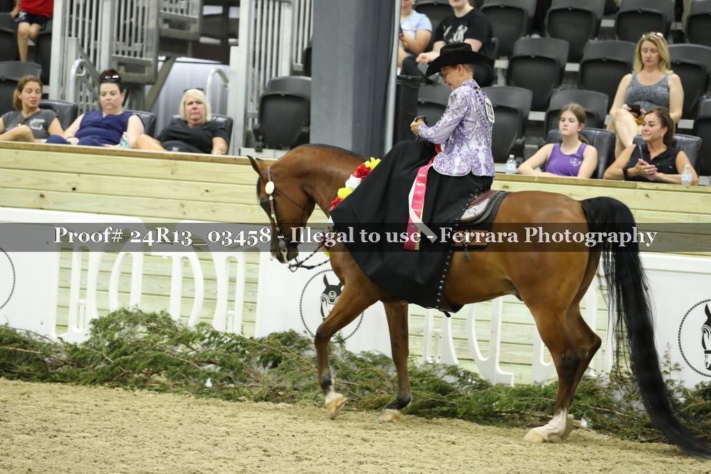 Proof 24R13_03458