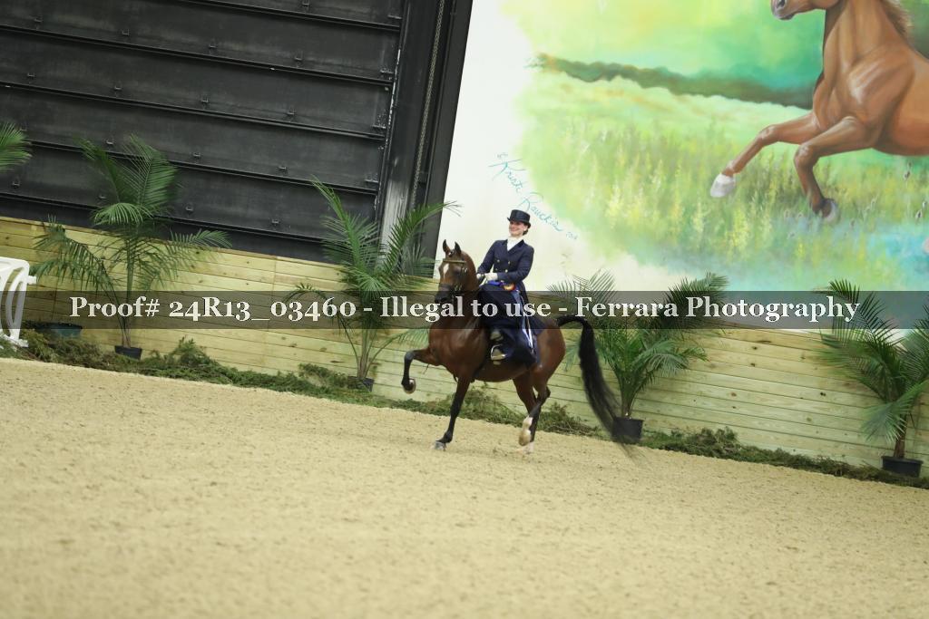 Proof 24R13_03460