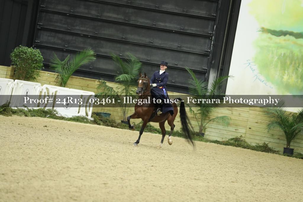 Proof 24R13_03461