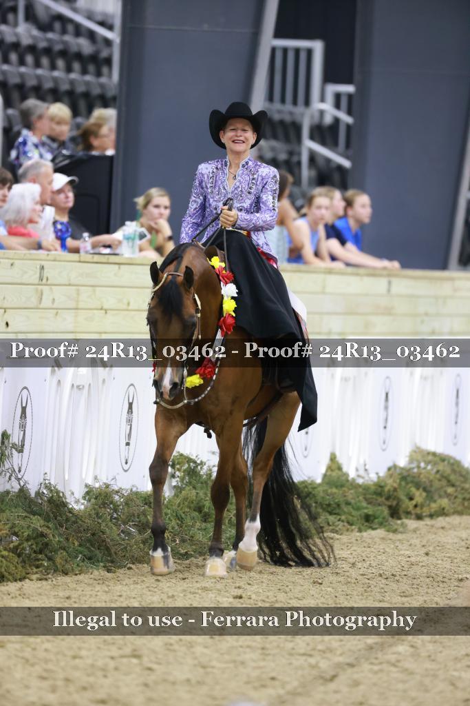 Proof 24R13_03462