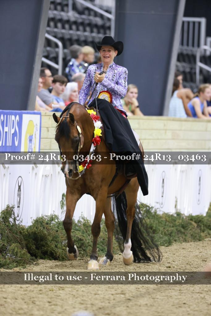 Proof 24R13_03463