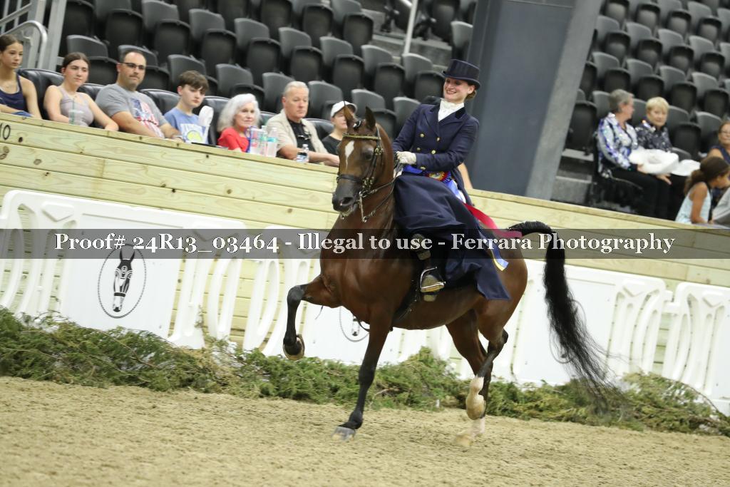 Proof 24R13_03464