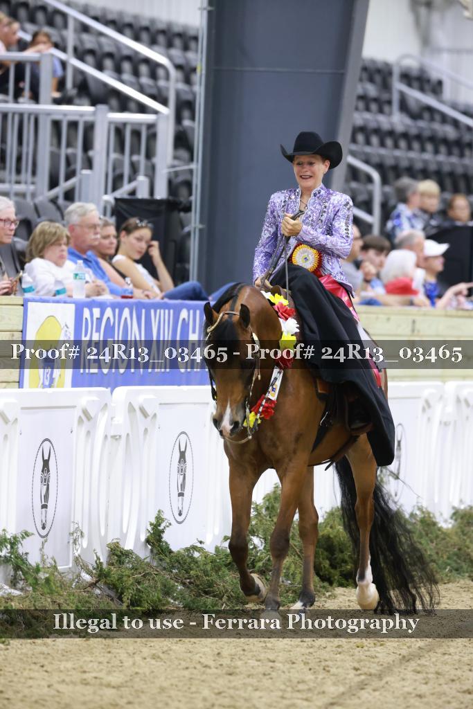 Proof 24R13_03465