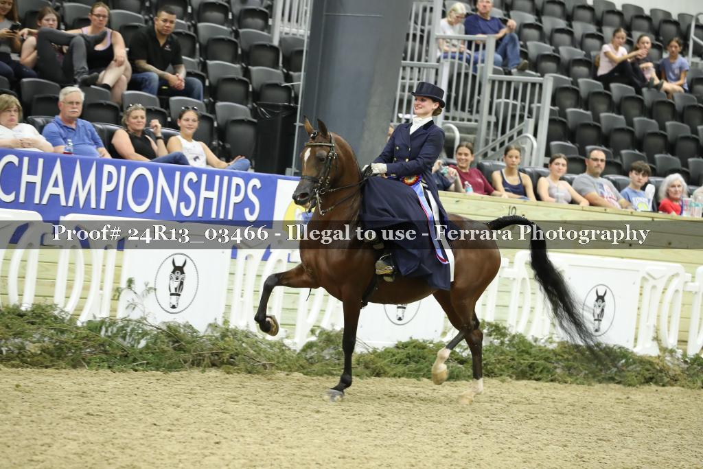 Proof 24R13_03466