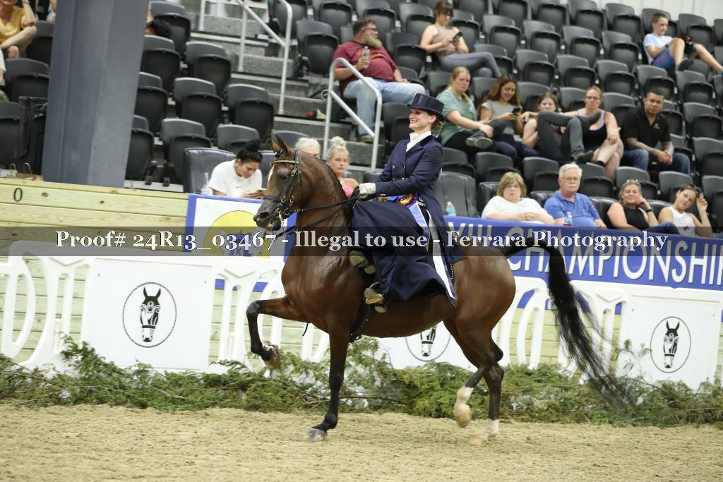 Proof 24R13_03467