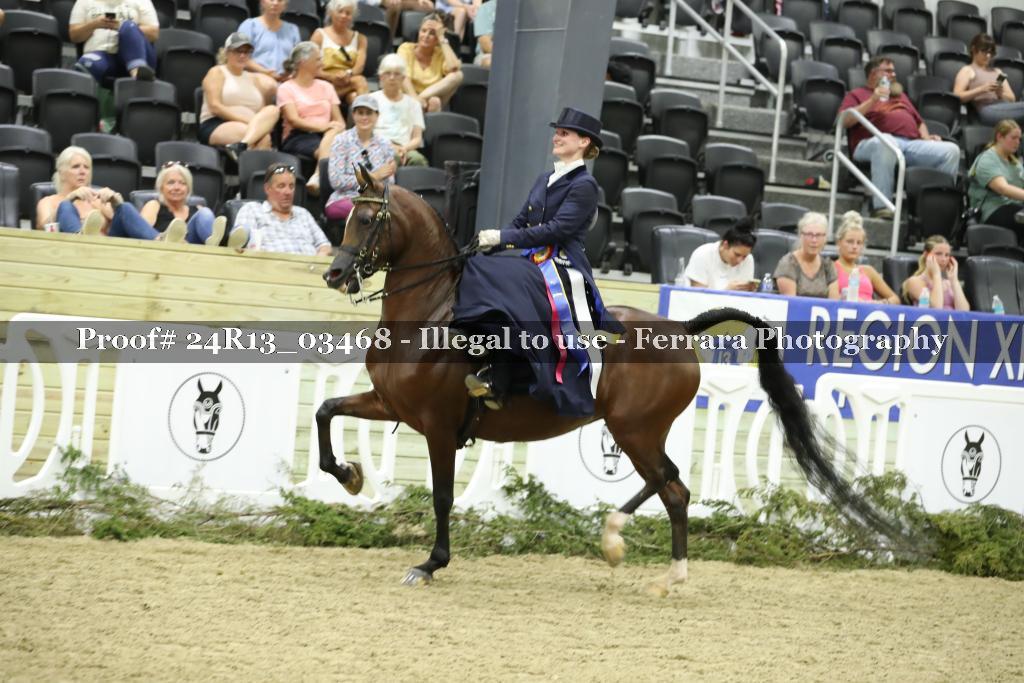 Proof 24R13_03468