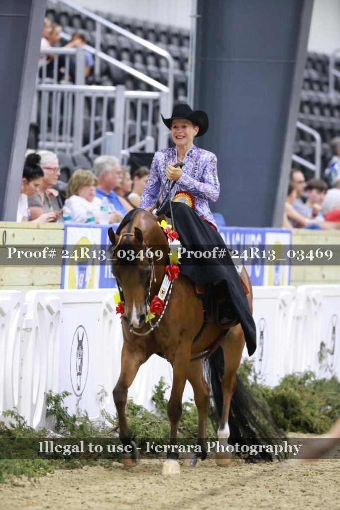 Proof 24R13_03469