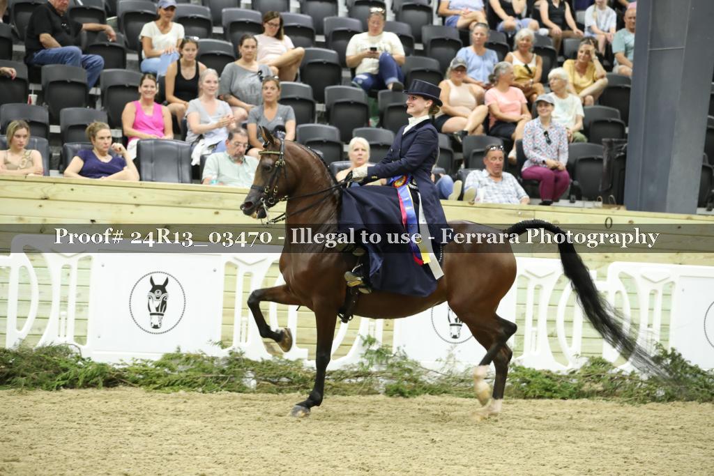 Proof 24R13_03470