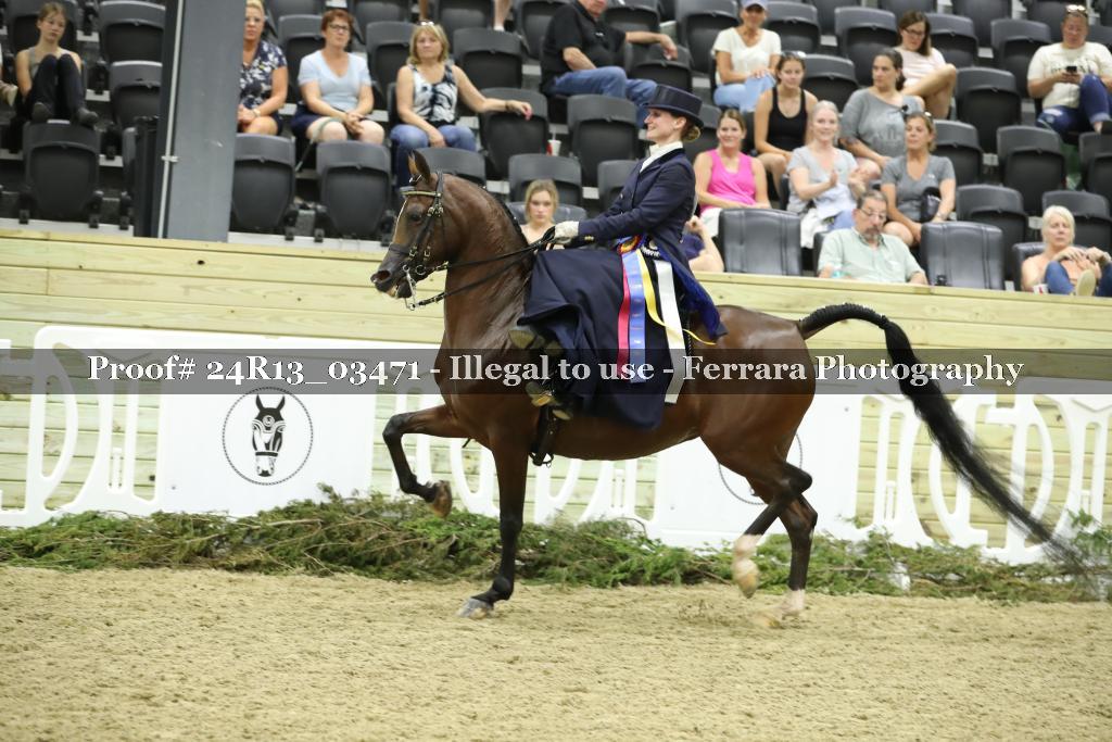 Proof 24R13_03471