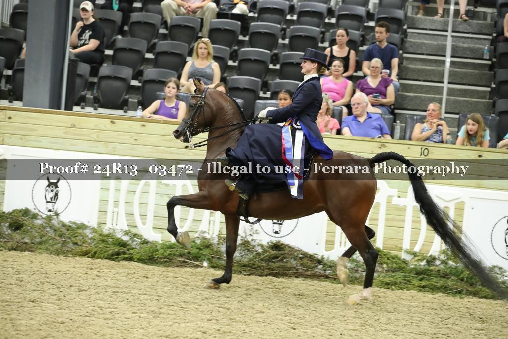 Proof 24R13_03472