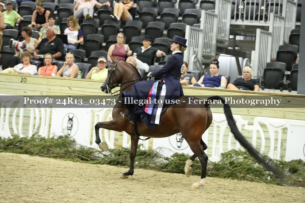 Proof 24R13_03473